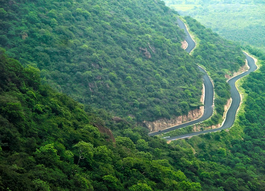Kodaikanal Lake