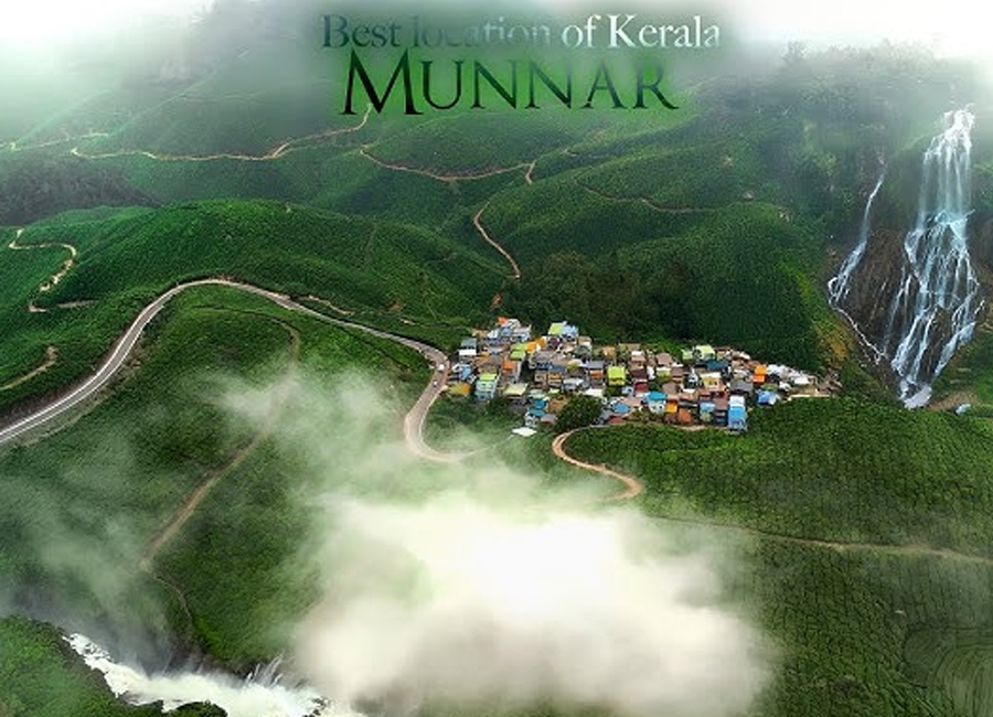 Tea Plantation