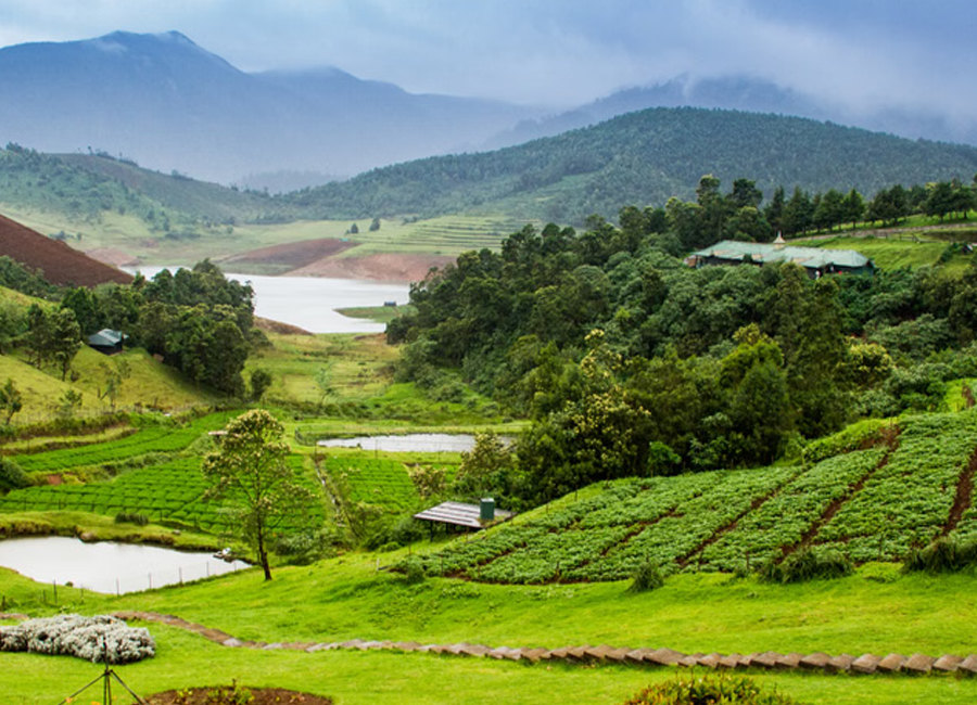 Ooty Lake